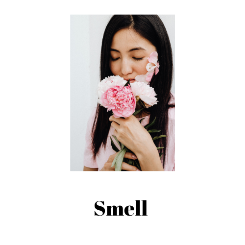 Smell - Grade 1 - English First Additional Language - Nexgentutorpro