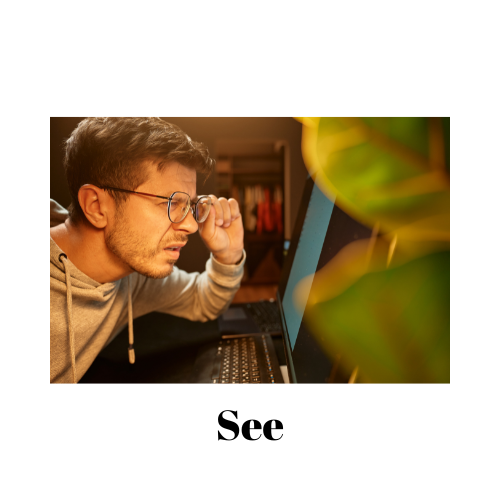 See - Grade 1 - English First Additional Language - Nexgentutorpro