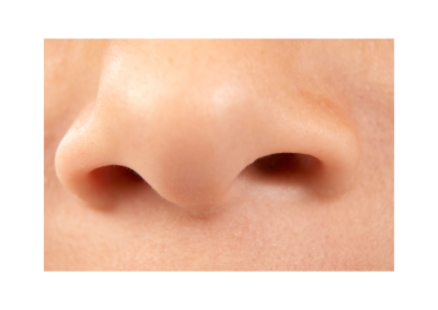 My body - Nose - ESL A1 - Nexgentutorpro