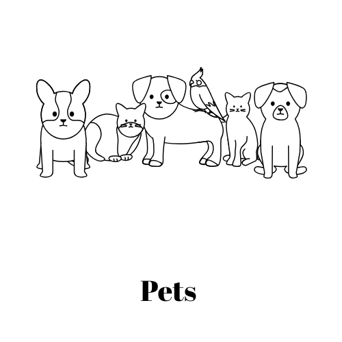 Nouns - Pets - Grade 1 - English First Additional Language